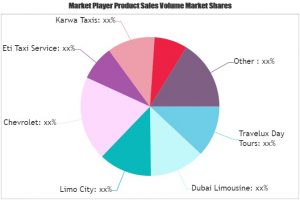 Taxi and Limousine Services Market